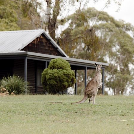 Palmers Lane Estate Hunter Valley Pokolbin Exterior foto