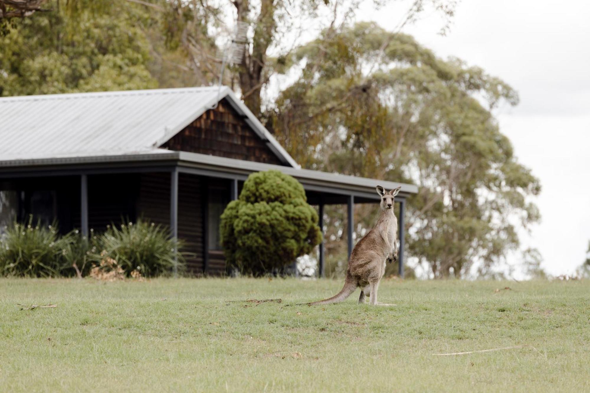 Palmers Lane Estate Hunter Valley Pokolbin Exterior foto